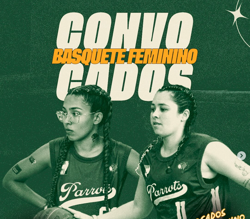 Captura de tela 2026-04-16 140546.png